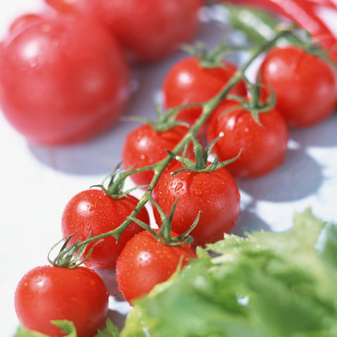 Semi di Pomodoro Indeterminato CIliegino Rosso