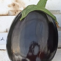 Semi di Melanzana Nera Tonda