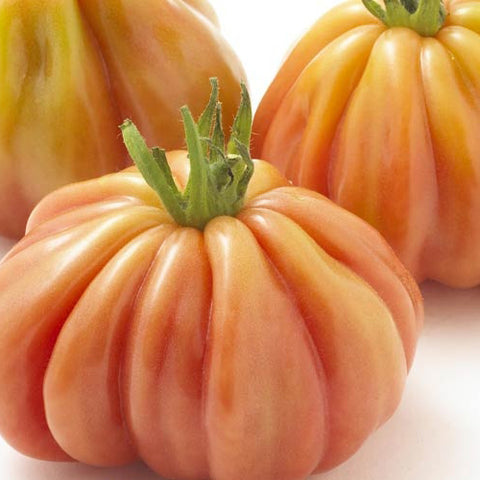 Semi di Pomodoro Indeterminato Cuore di bue