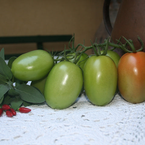 Semi di Pomodoro Indeterminato Verde allungato